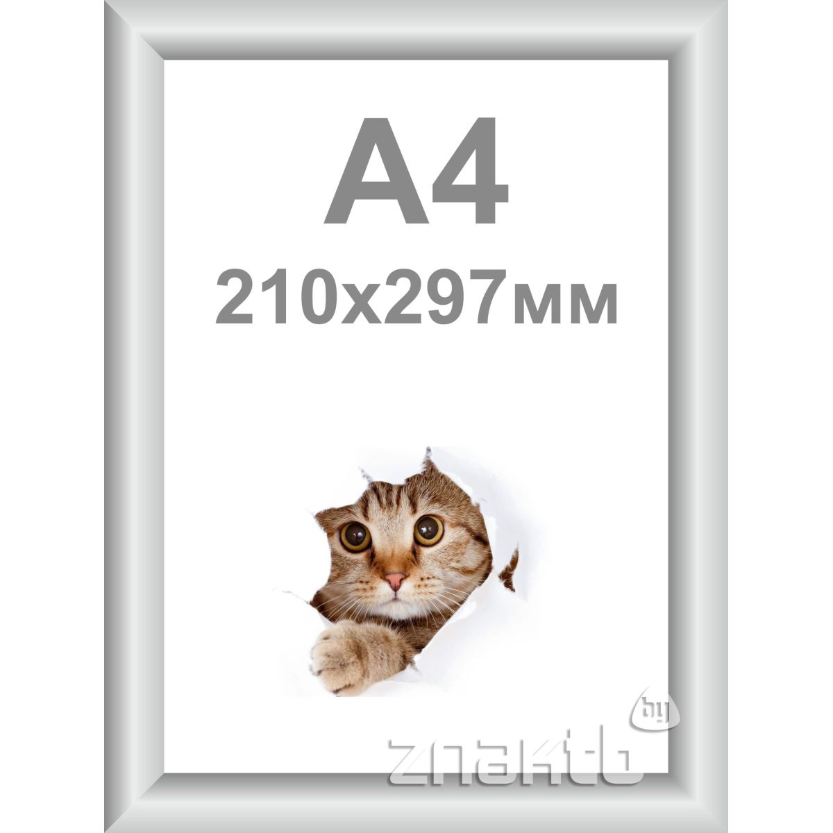 Клик рамка А4 алюминиевая 25 мм серебристая матовая