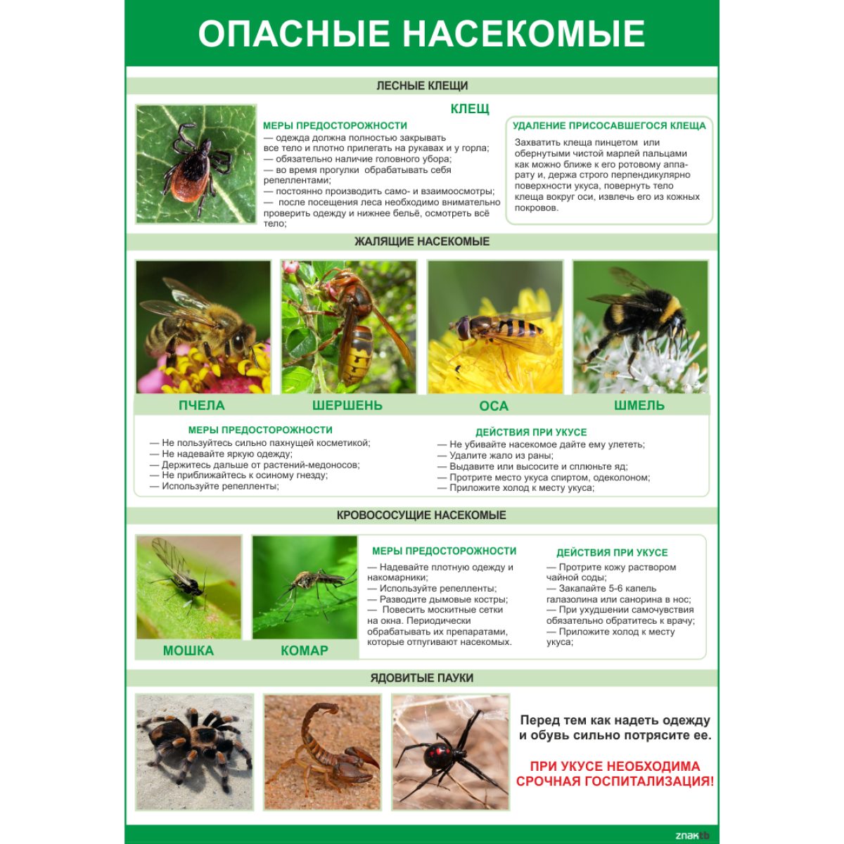 2003 Плакат Опасные насекомые