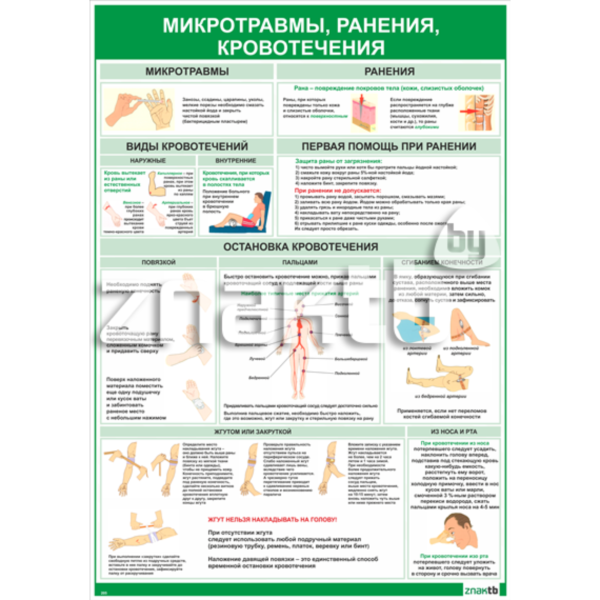 Плакат информационный Микротравмы, ранения, кровотечения