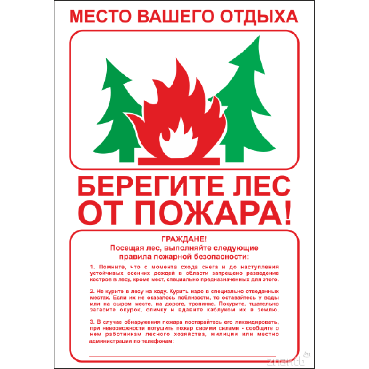 Плакат Берегите лес от пожара (с текстом)