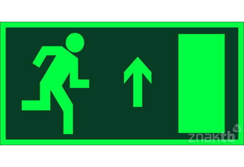 034 Знак Направление к эвакуационному выходу прямо (левосторонний) фотолюминесцентный код Е11